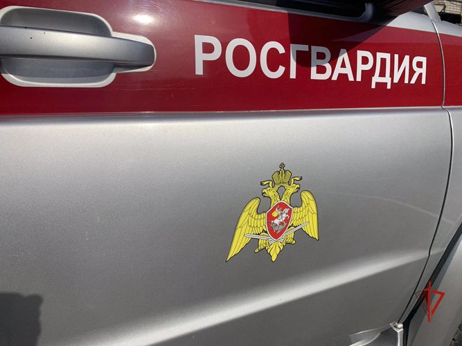Находившийся в розыске мужчина задержан росгвардейцами в Томске